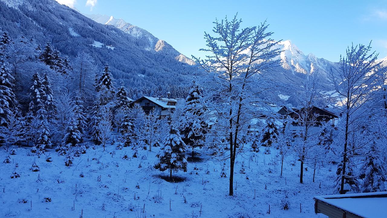Chalet Amadeus Mayrhofen Zillertal Tirol Exterior photo